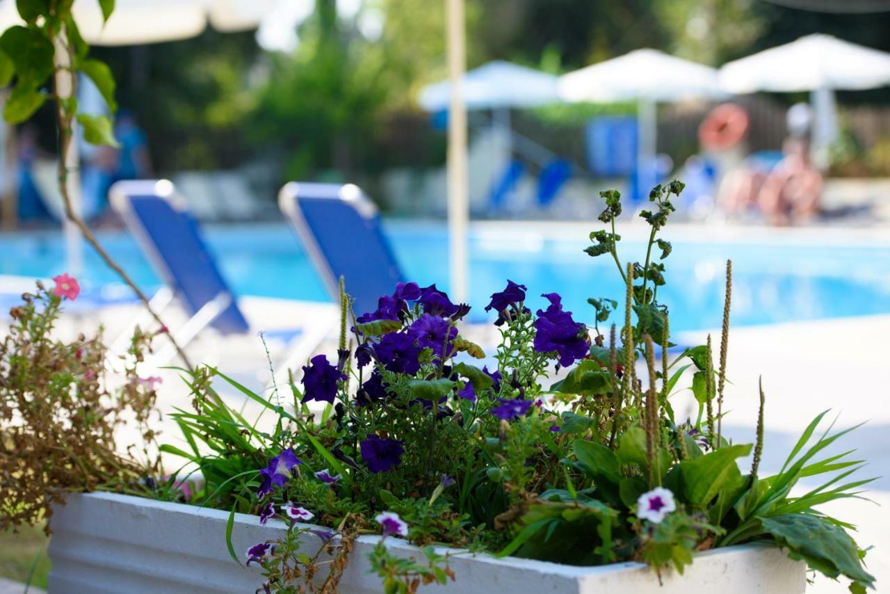 Amalia Hotel - Adults Only Dassia  Exterior photo